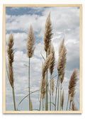 Al viento - Retrato MC