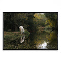 Caballo blanco reflejado - FotoH N