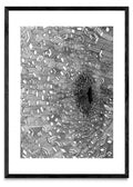 Dimension - white edition - Retrato N