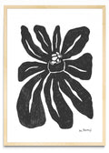 Flor casi negra 1 - Retrato MC