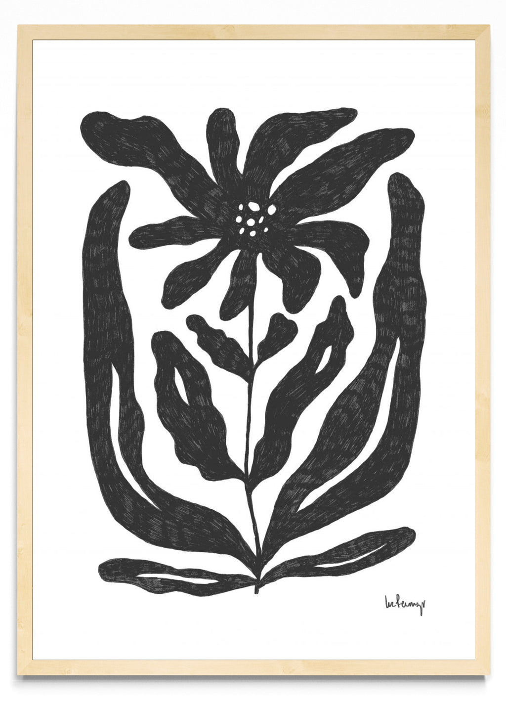 Flor casi negra 2 - Retrato MC