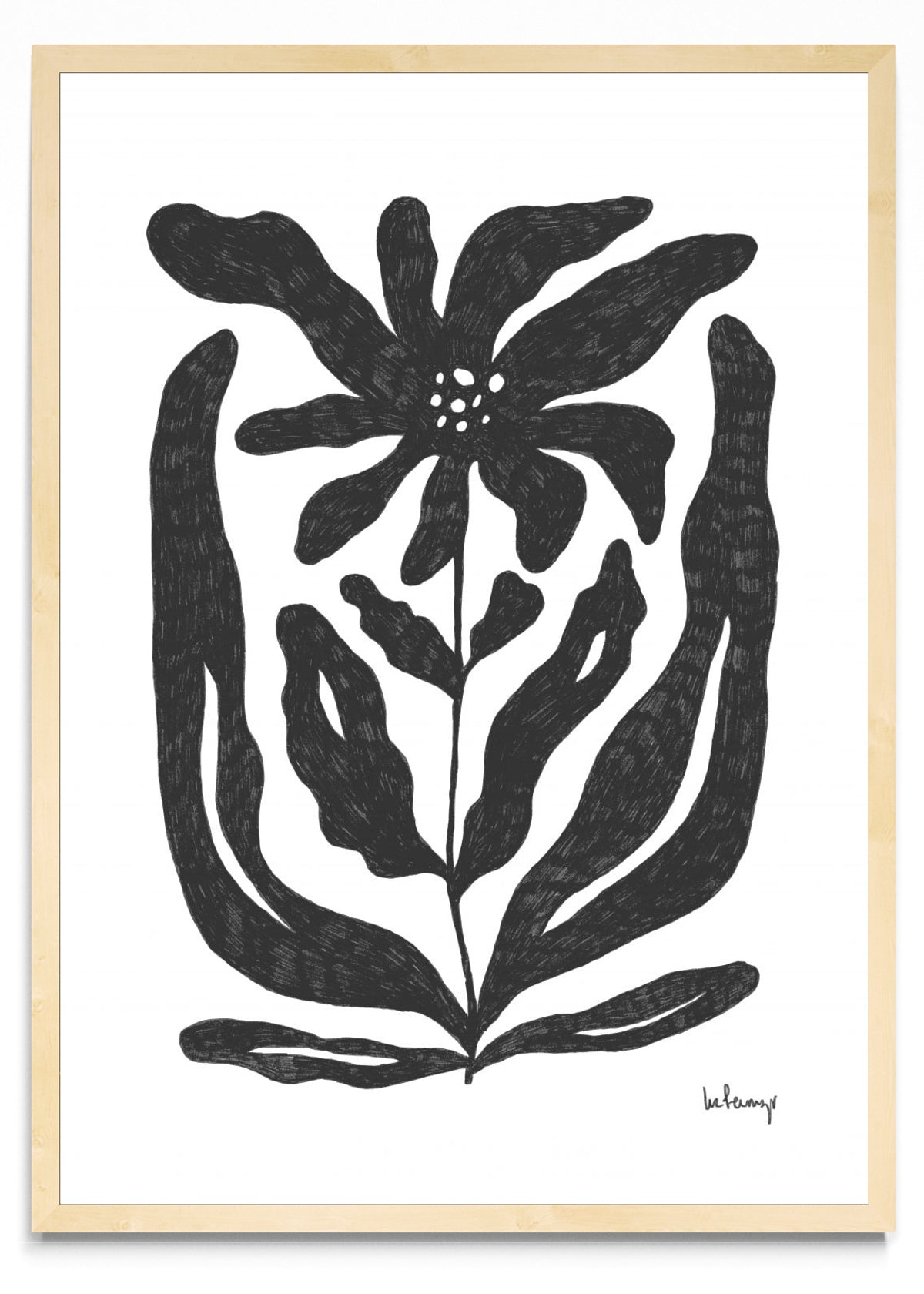 Flor casi negra 2 - Retrato MC