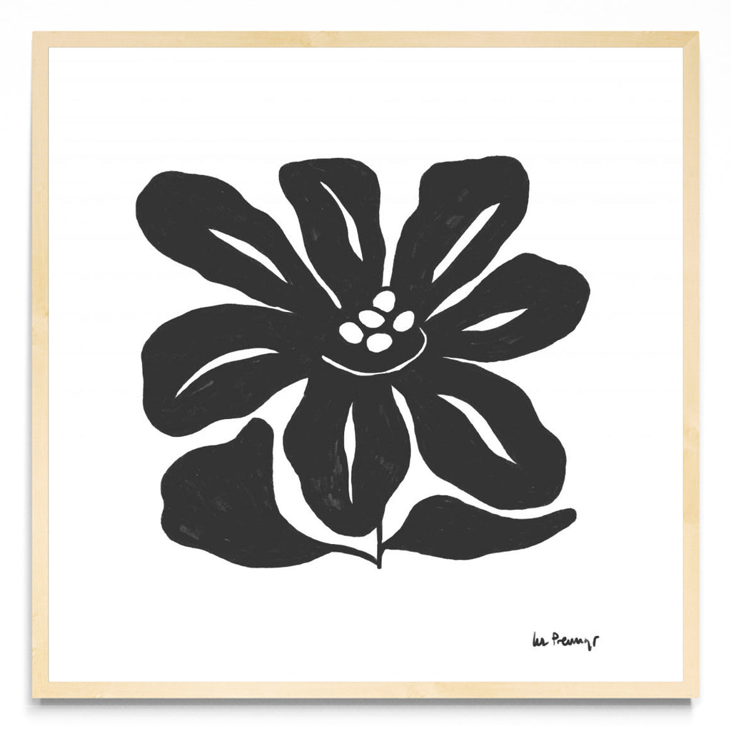 Flor casi negra 9 - Cuadrado MC