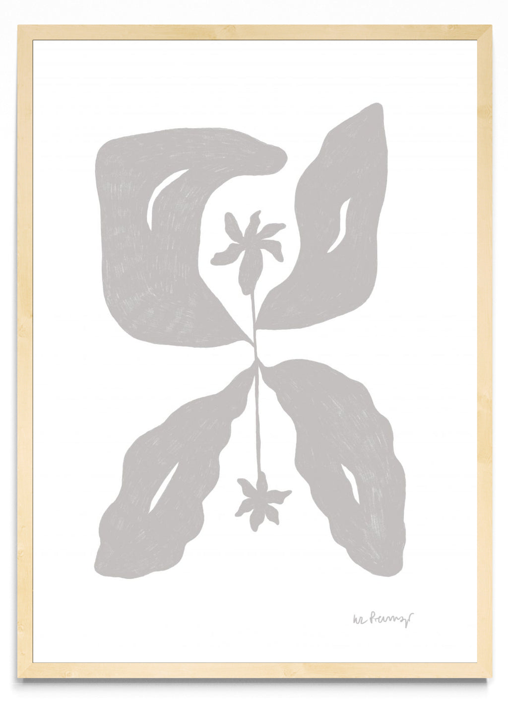Flor neutra 7 - Retrato MC