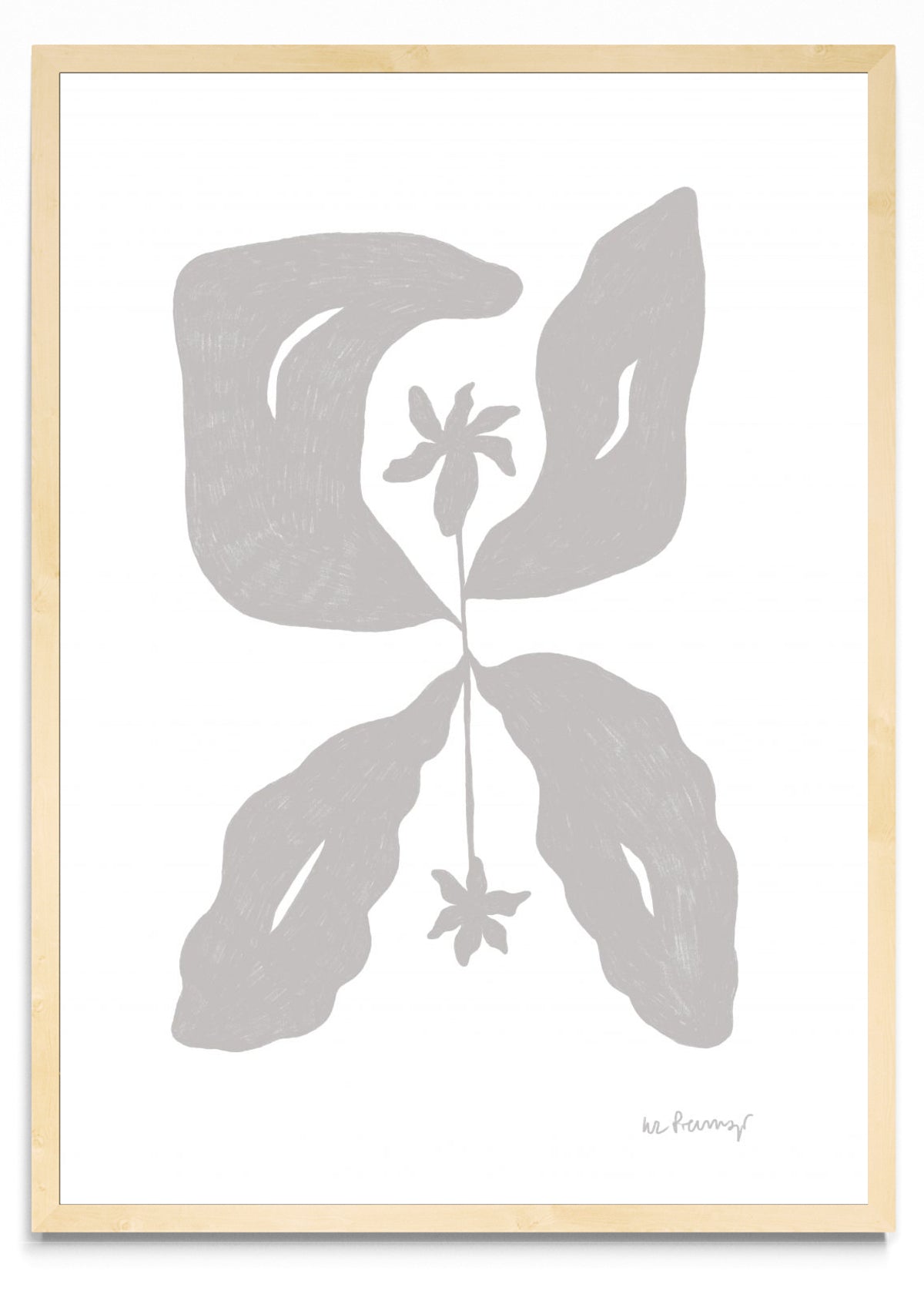 Flor neutra 7 - Retrato MC