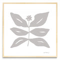 Flor neutra 8 - Cuadrado MC