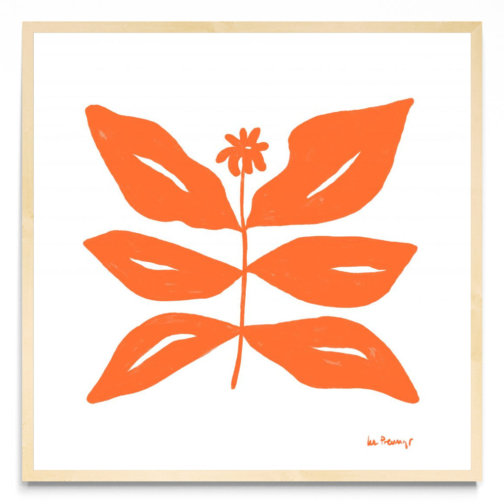 Flor naranja 8 - Cuadrado MC