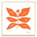Flor naranja 8 - Cuadrado MC