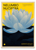 Lotus - Retrato MC
