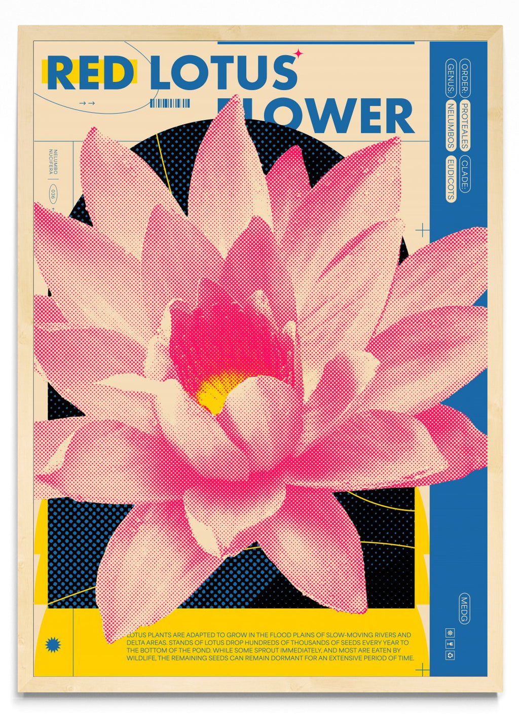 Red Lotus - Retrato MC