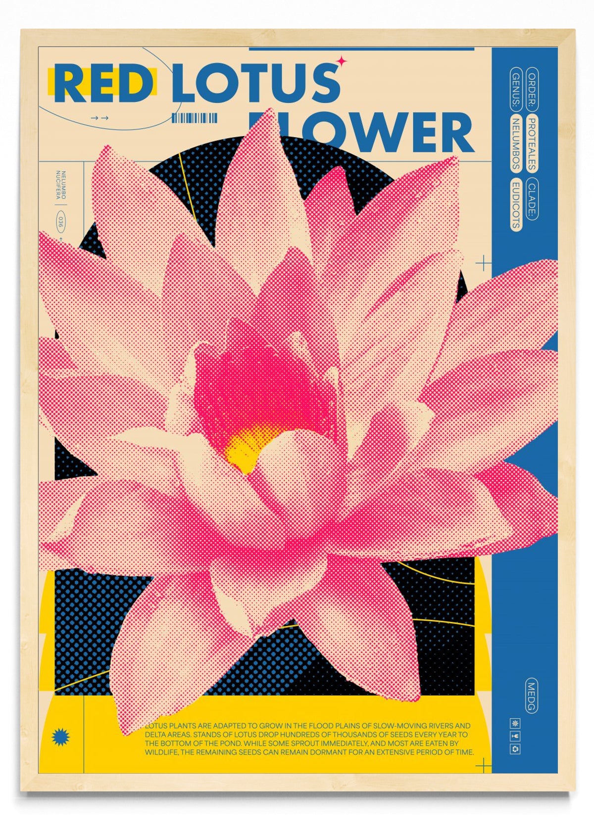 Red Lotus - Retrato MC