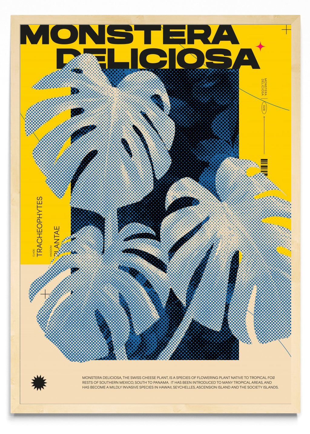Monstera Deliciosa - Retrato MC