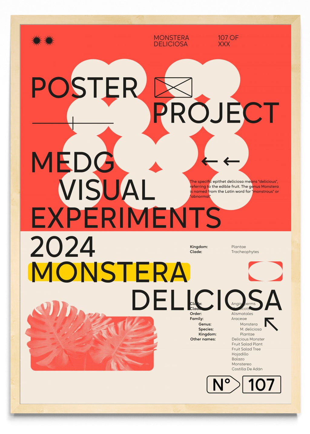 Monstera Deliciosa - Retrato MC