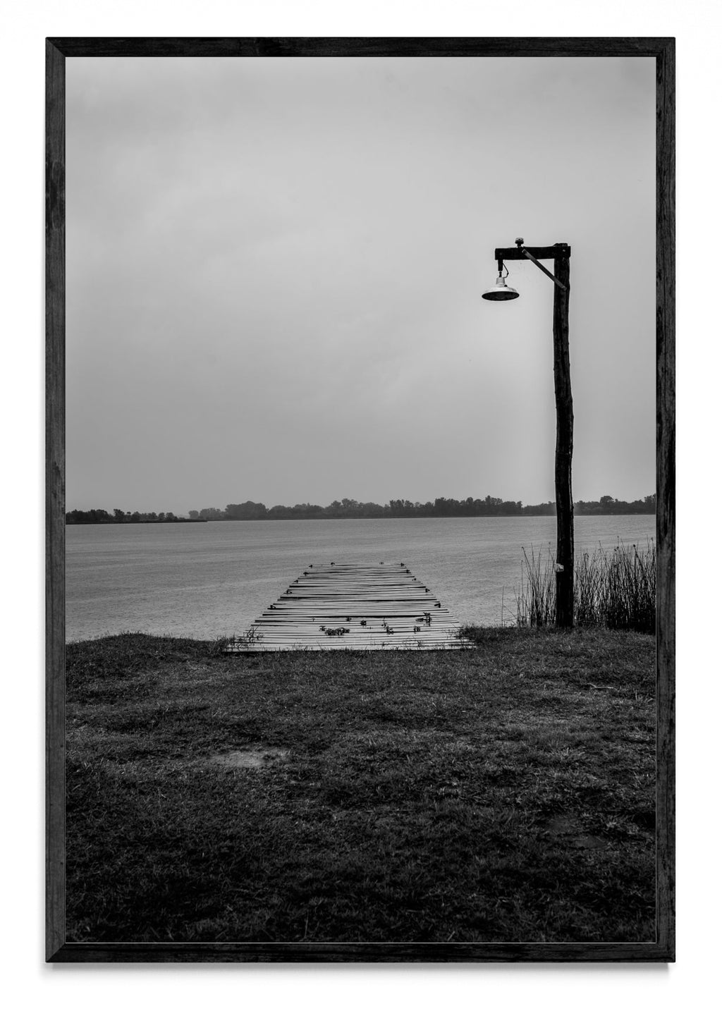 Muelle uno - FotoV N