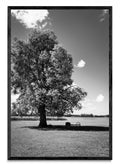 Descanso - FotoV N