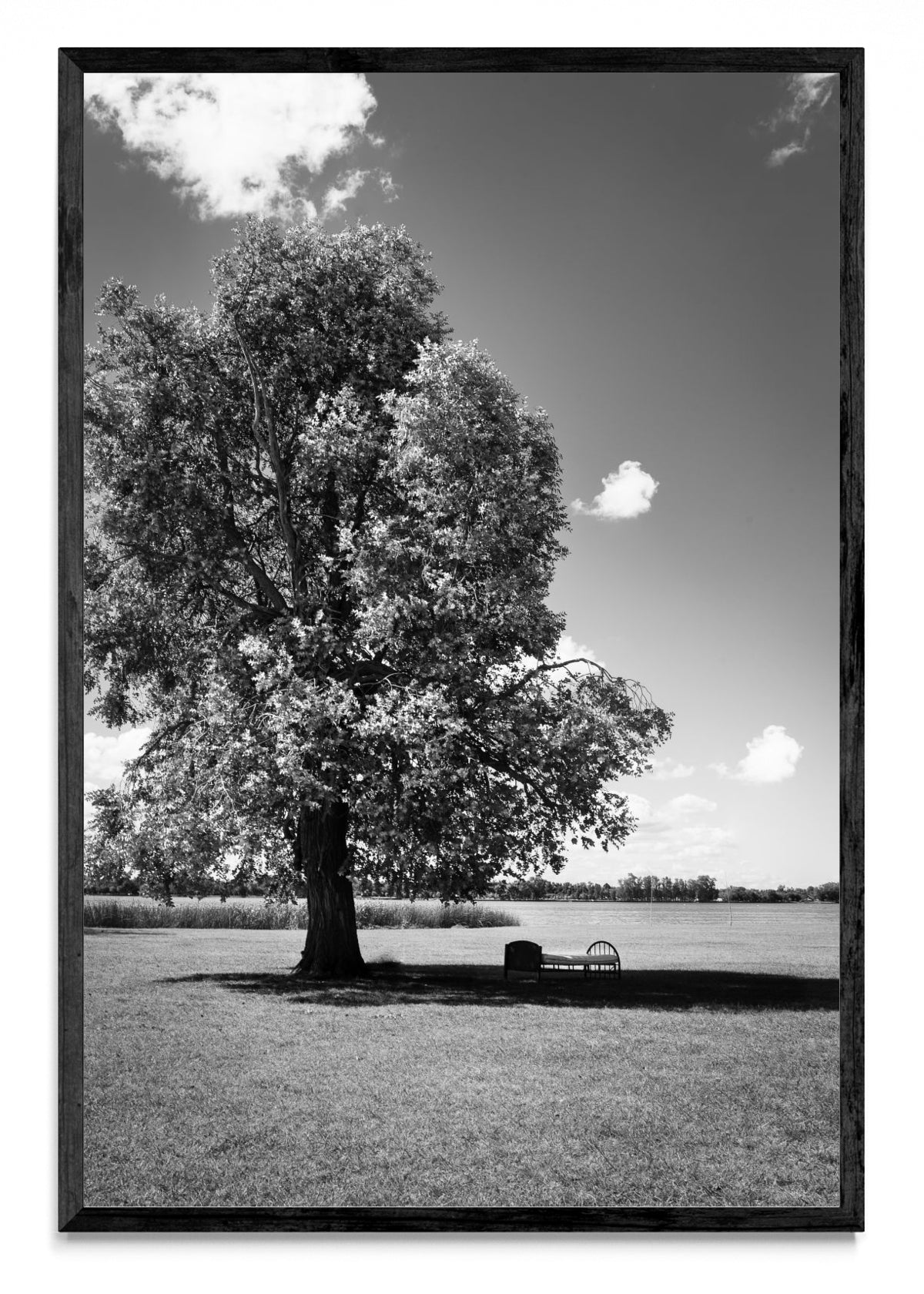 Descanso - FotoV N