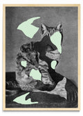 Gato - Retrato MC