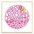 STONE CIRCLE MAGENTA - Cuadrado MC