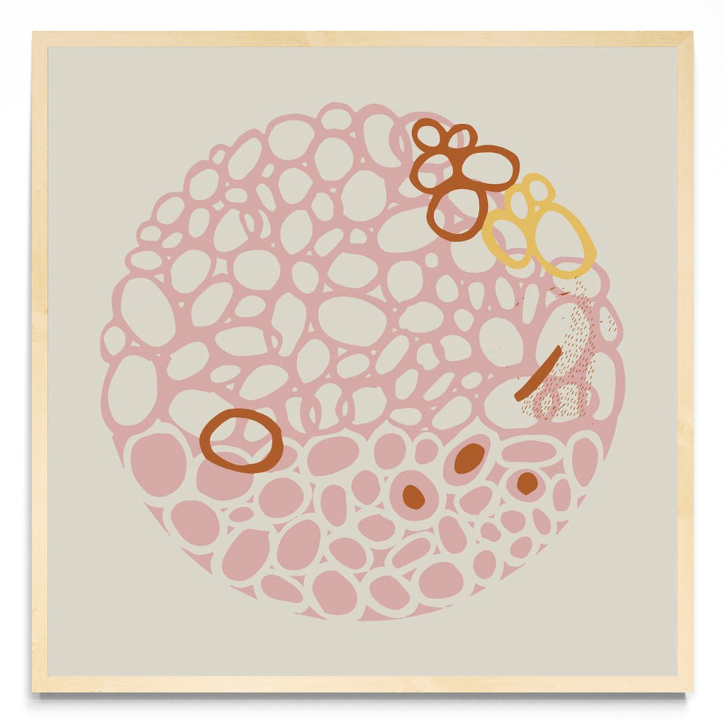 STONE CIRCLE - PALE PINK - Cuadrado MC