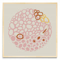 STONE CIRCLE - PALE PINK - Cuadrado MC