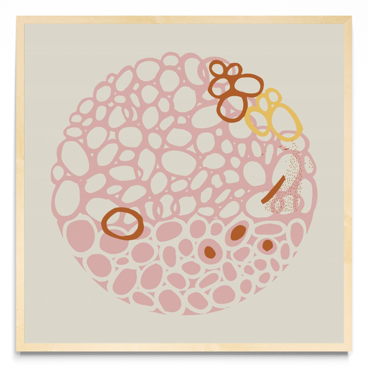 STONE CIRCLE - PALE PINK - Cuadrado MC