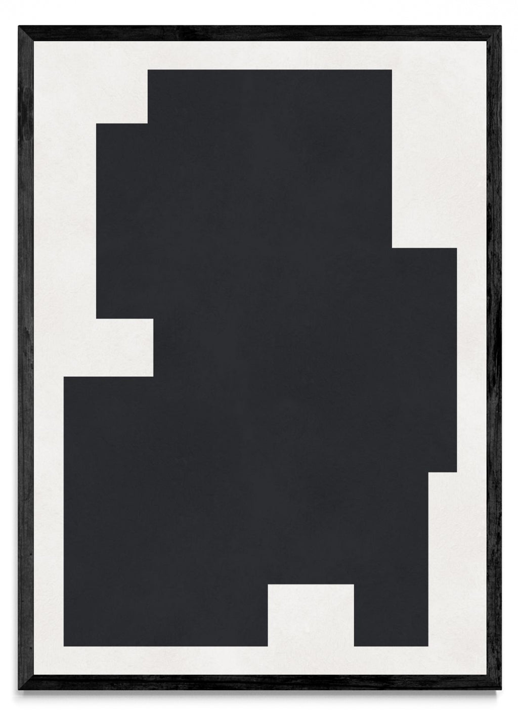 Blanco y negro moderno 2 - Retrato N