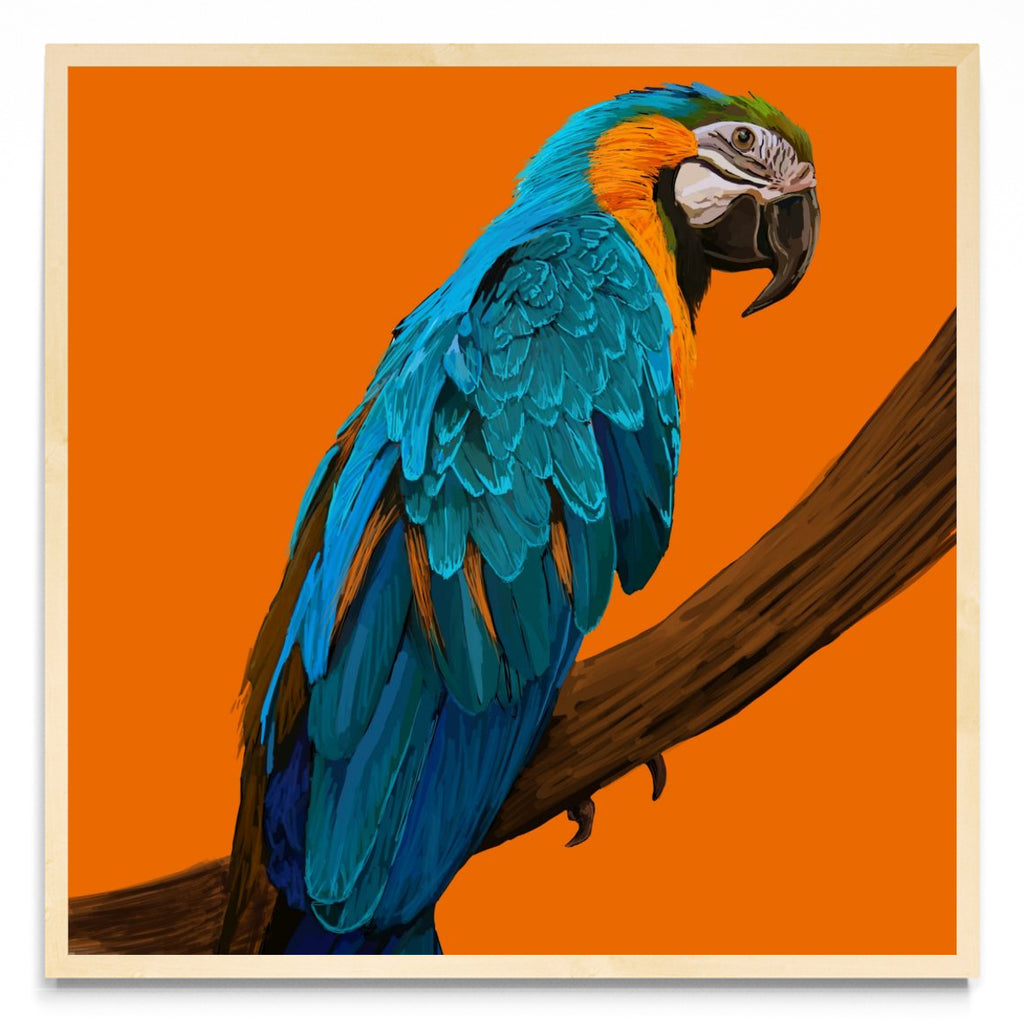 Animal #1 - Cuadrado MC