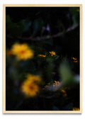 Flores amarillas - Retrato MC