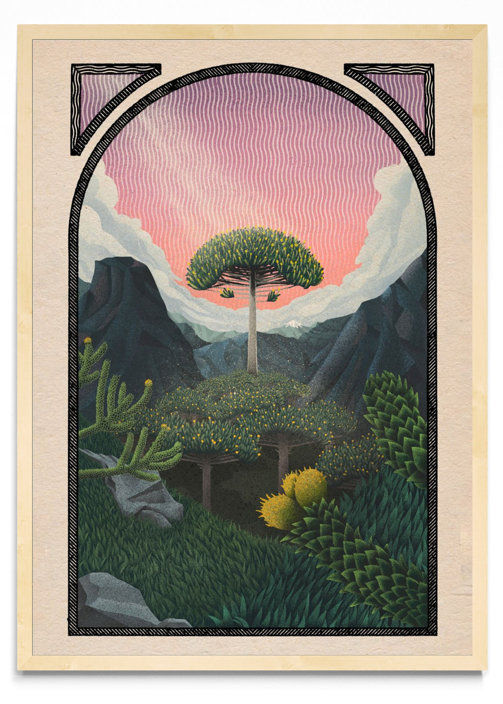 Trees of life - araucaria - Retrato MC