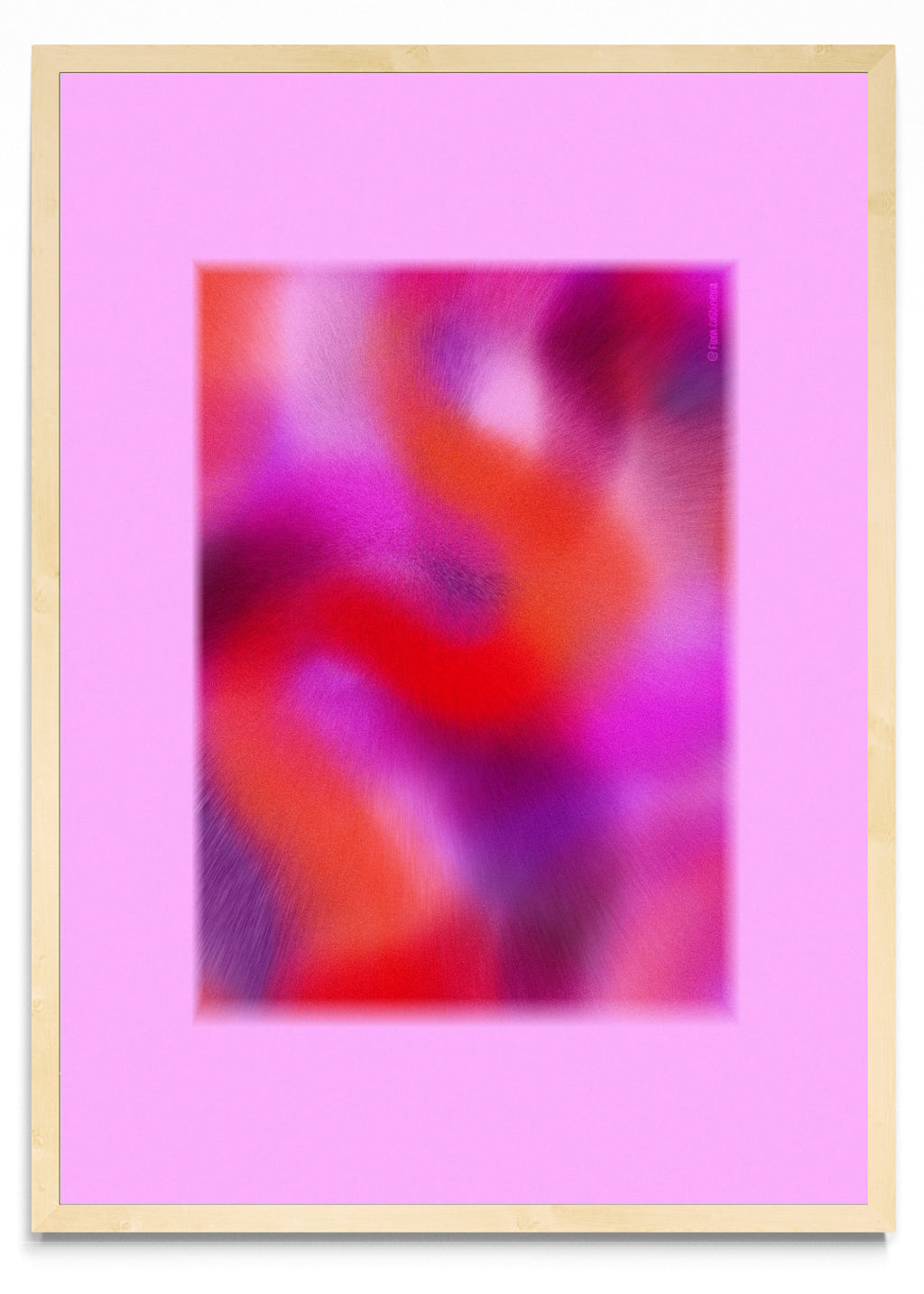 Wiggly rosa - Retrato MC