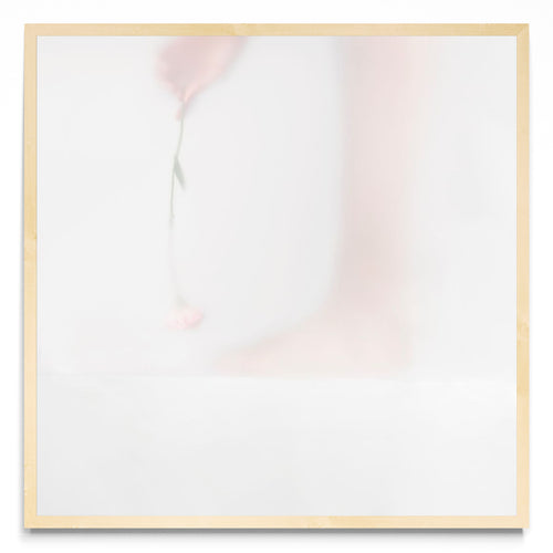 Aromas cotidianos - ritual II - Cuadrado MC