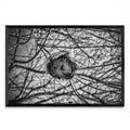 PANAL - FotoH N