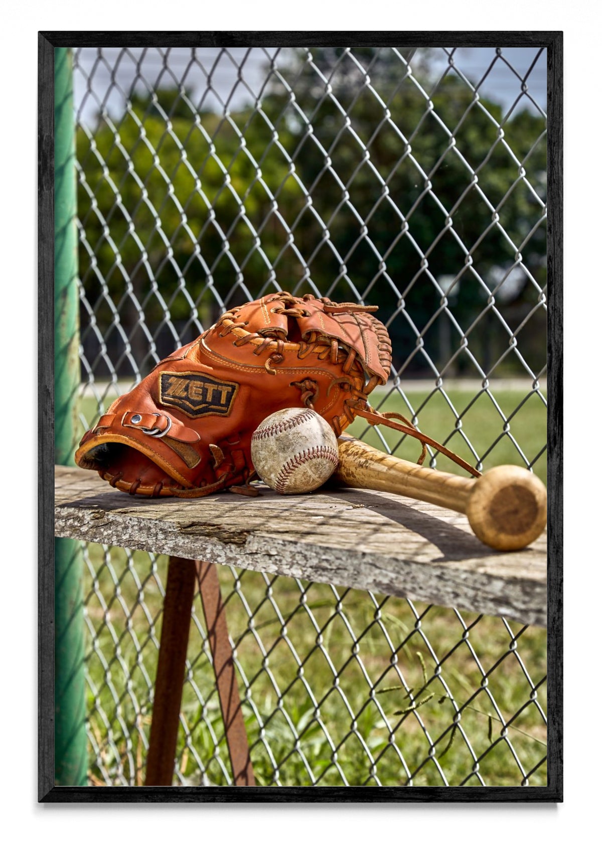 BEISBOL - FotoV N