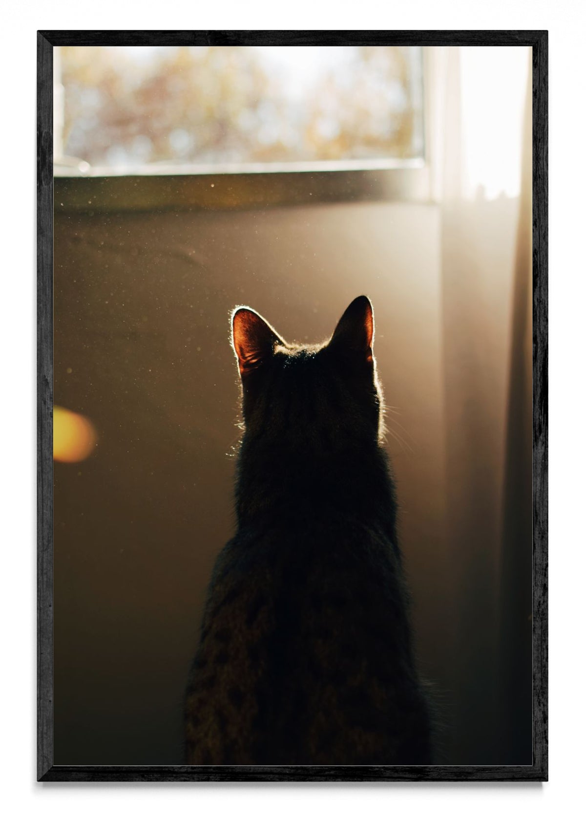Compañía - FotoV N