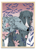 Galgo Mágico - Retrato MC