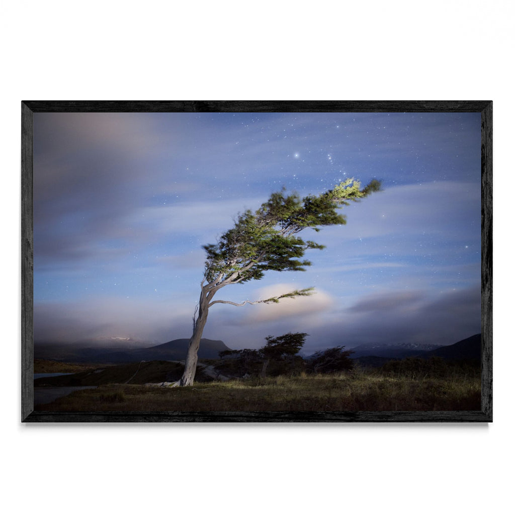 La caricia del viento - FotoH N