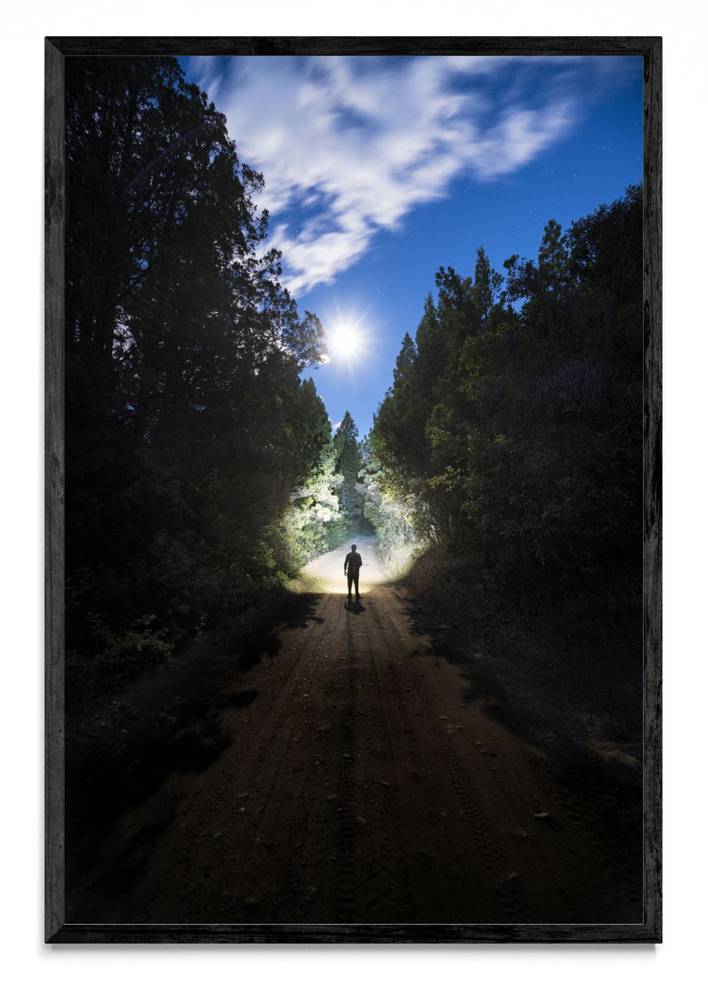 Camino de luna - FotoV N