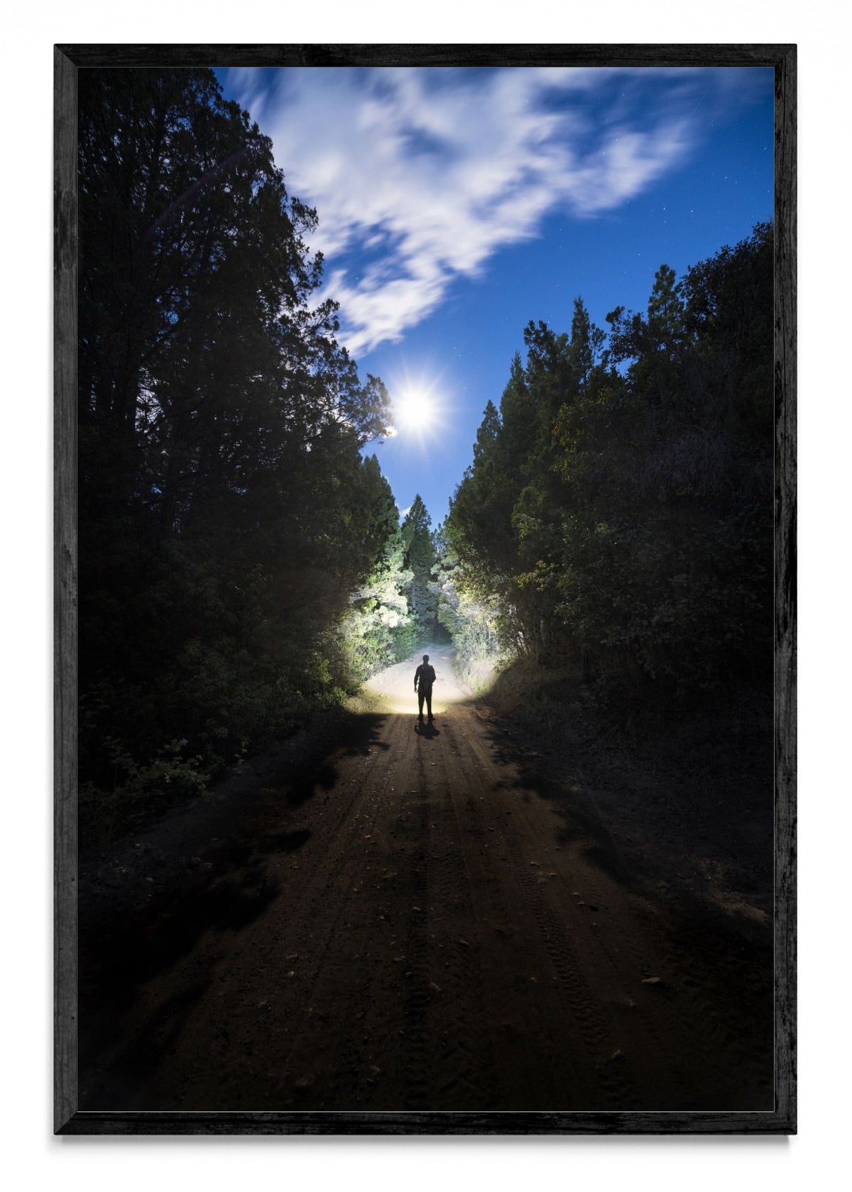 Camino de luna - FotoV N