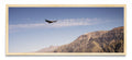 Condor - Pano H MC