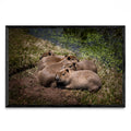 Bebes carpincho durmiendo a la luz de la luna - FotoH N