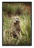 La caricia del viento - FotoV N