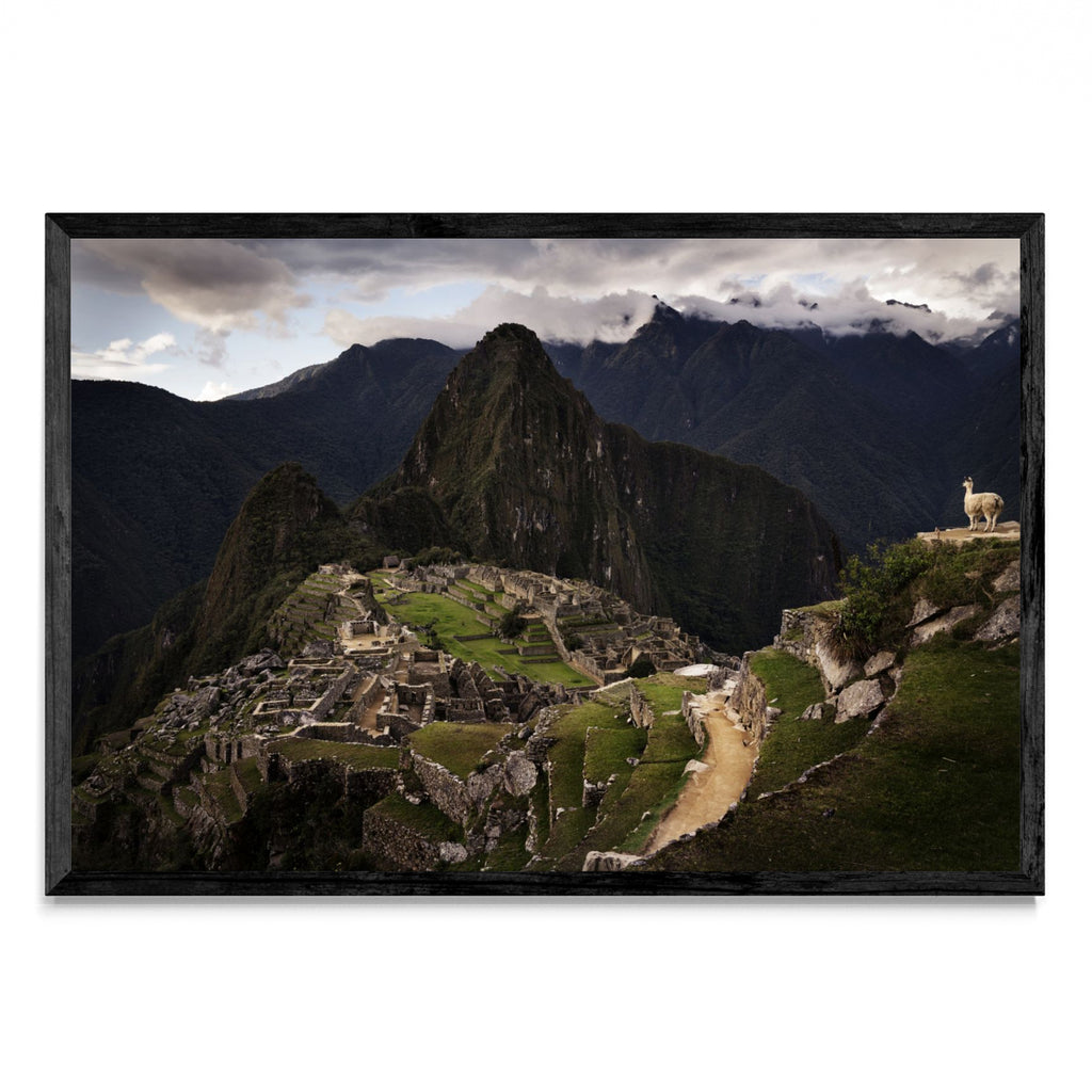 Machu Picchu - FotoH N