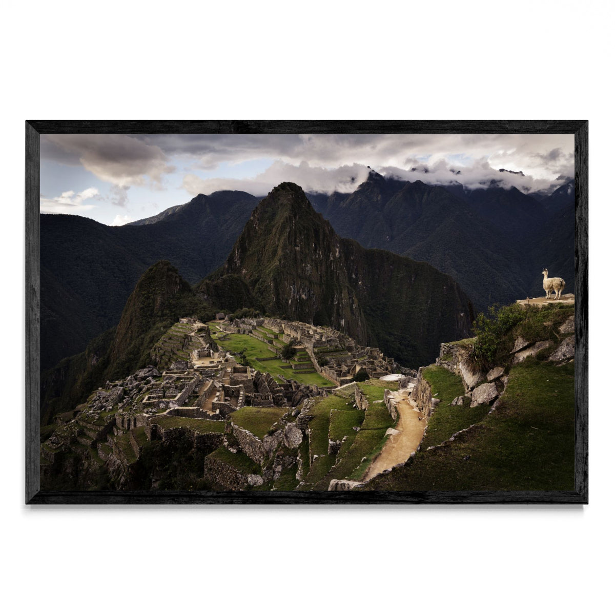 Machu Picchu - FotoH N