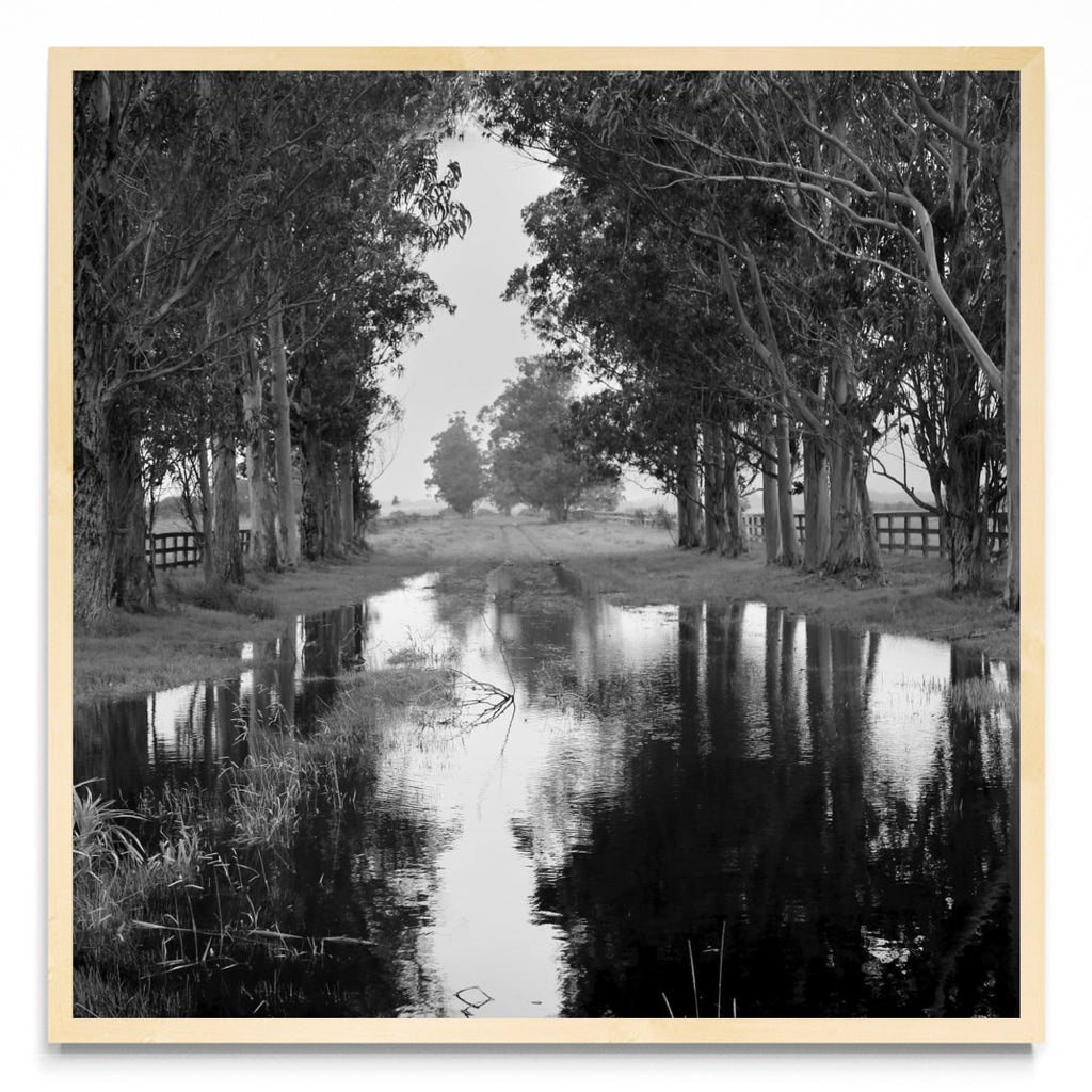 Reflejos del cielo. - Cuadrado MC