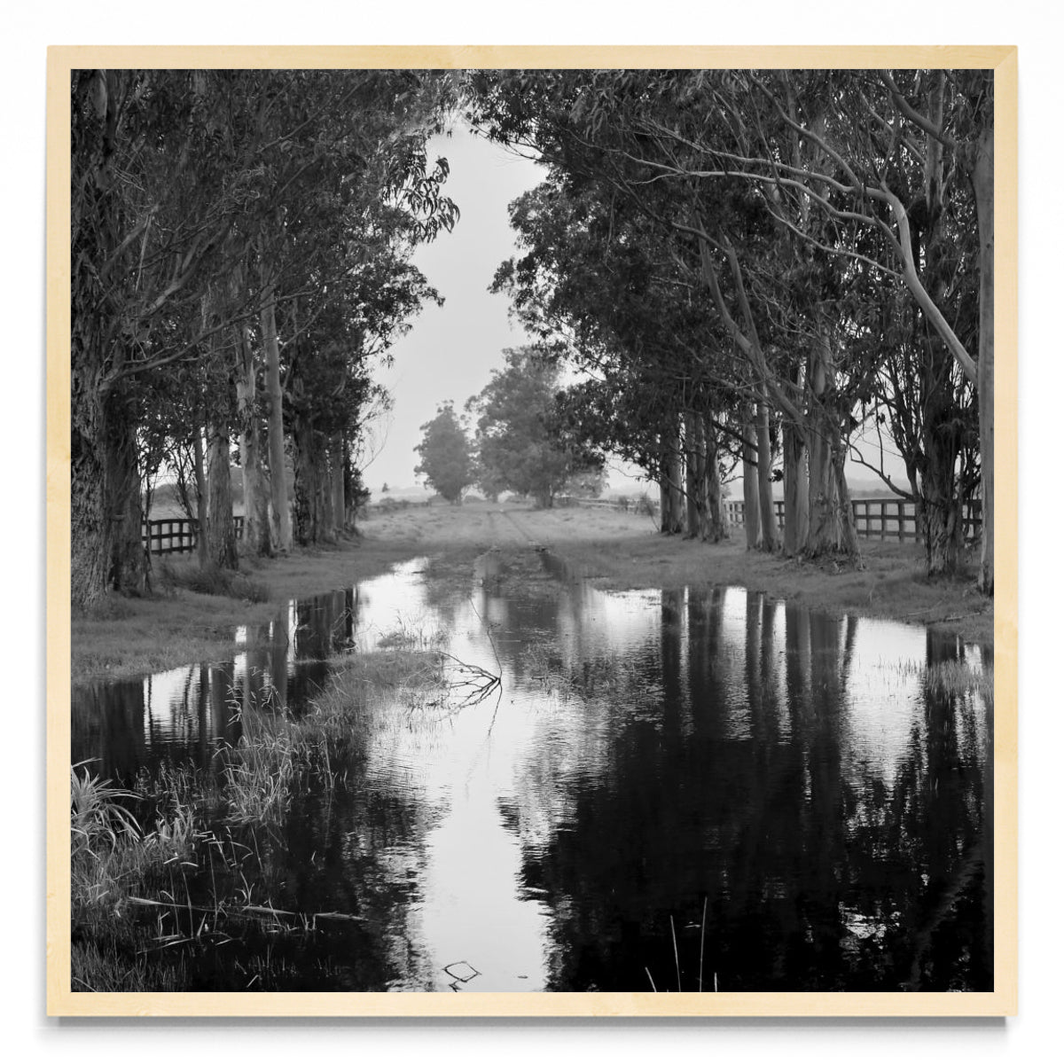 Reflejos del cielo. - Cuadrado MC