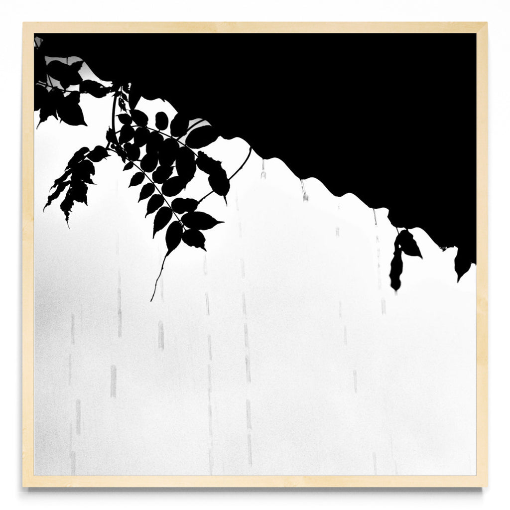 Lluvia en Blanco y Negro - 1 - Cuadrado MC