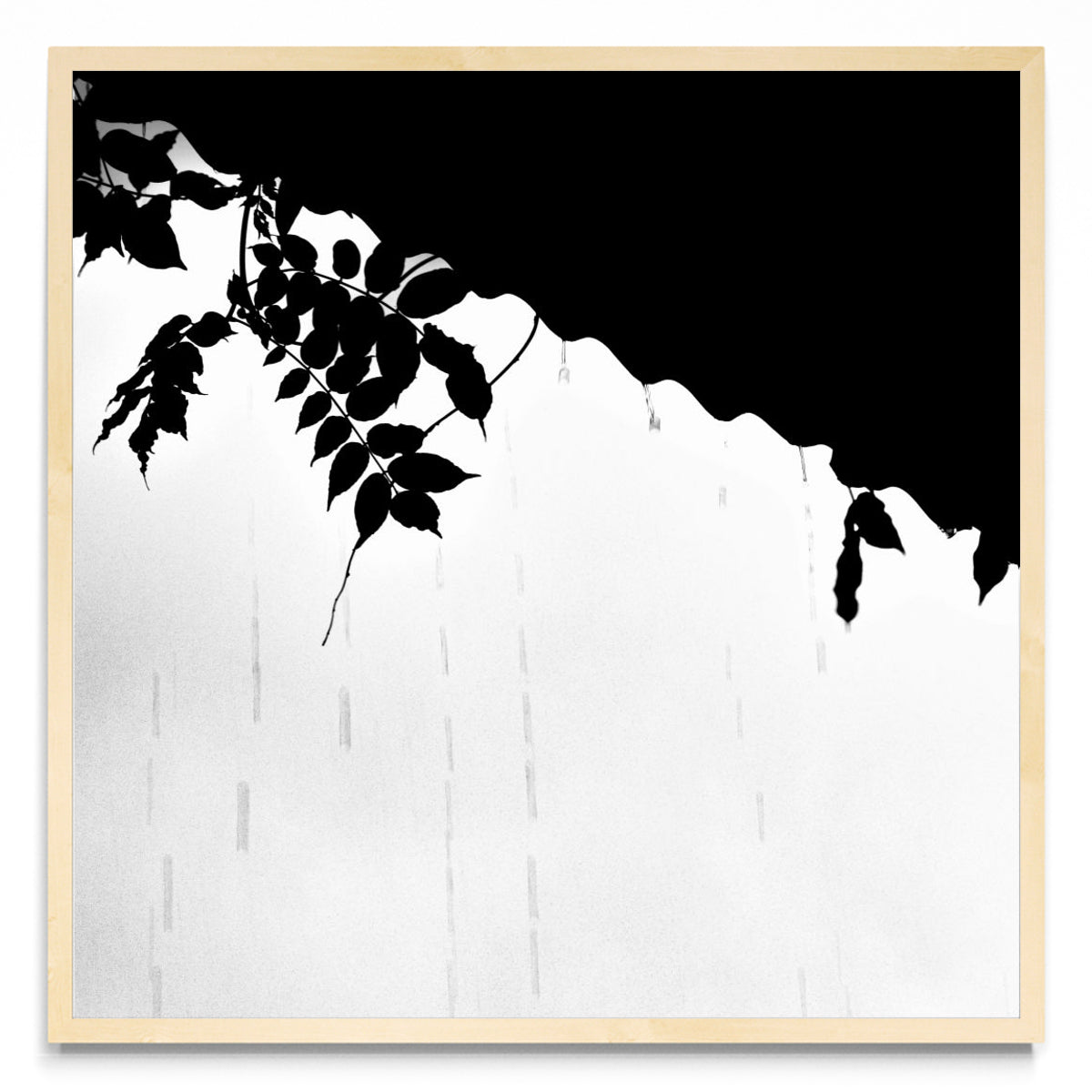 Lluvia en Blanco y Negro - 1 - Cuadrado MC