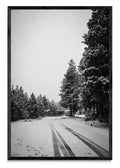 Invierno Patagónico - FotoV N