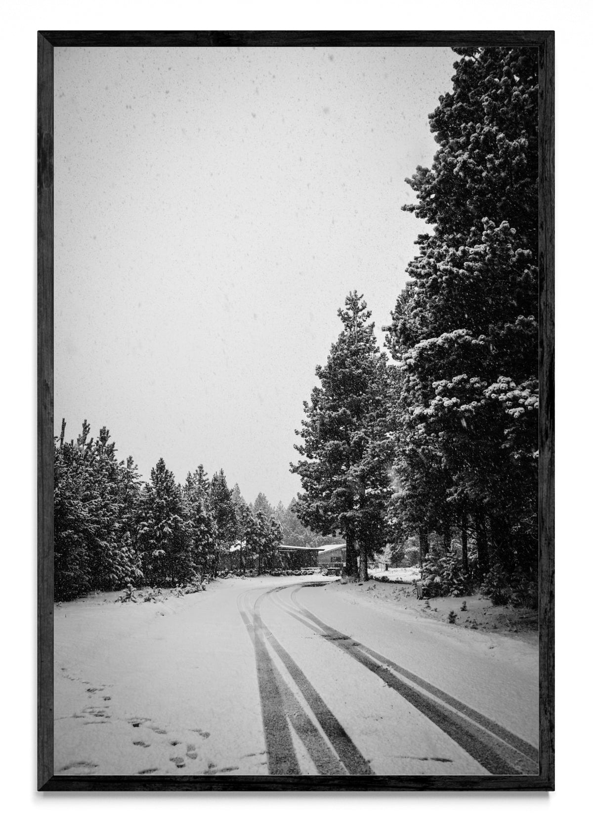 Invierno Patagónico - FotoV N