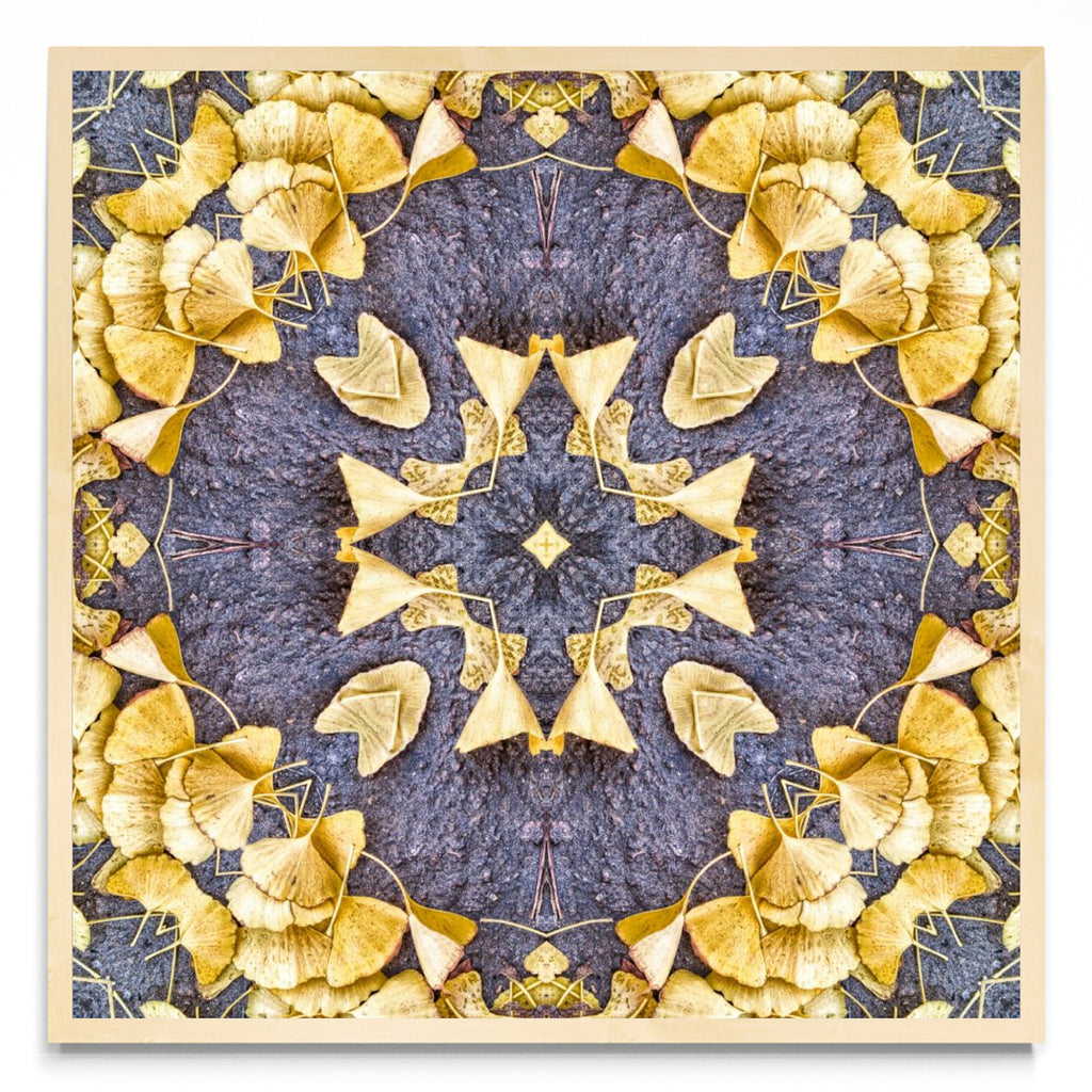 OTOÑAL-GINKO 1 - Cuadrado MC